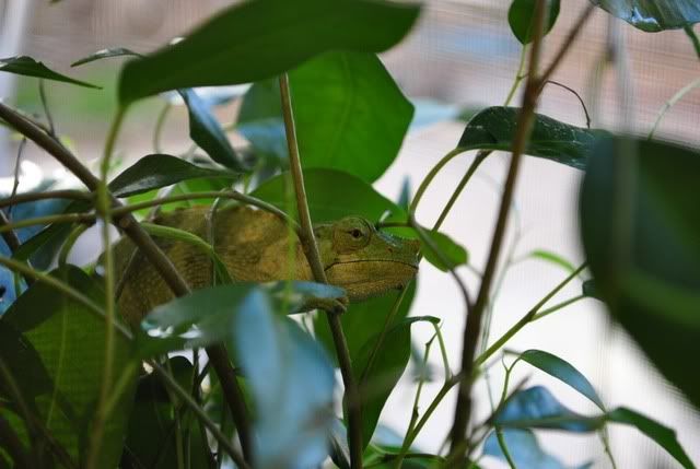 DSC_0125.jpg