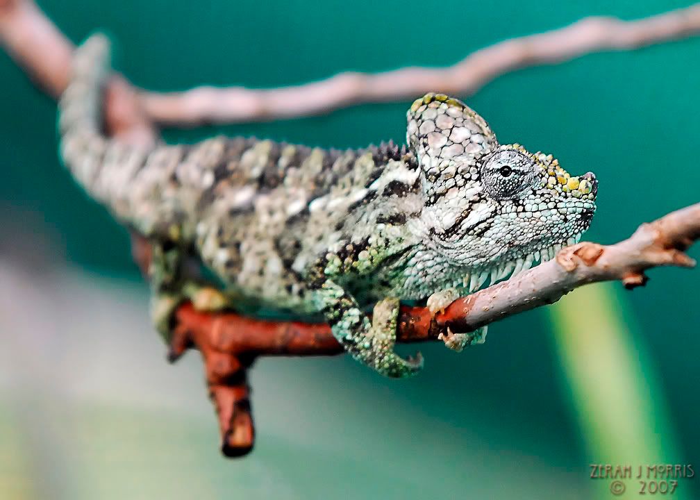 _DSC9204web.jpg