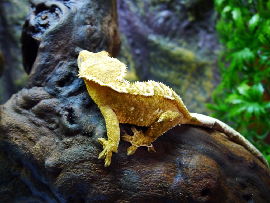 2011-10-12164022.jpg