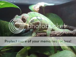 2011-10-22155508.jpg