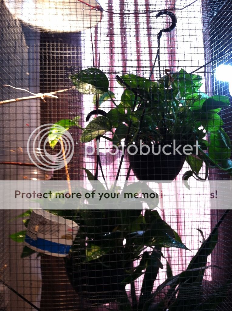 105119EB.jpg