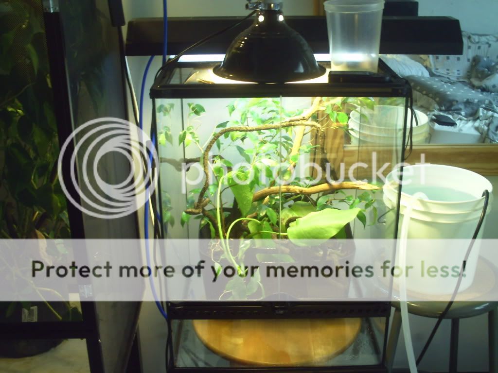 PICT0024.jpg