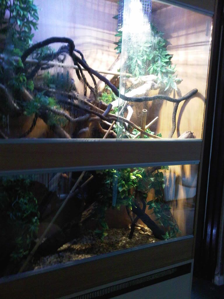 IMG00863-20110725-1637.jpg