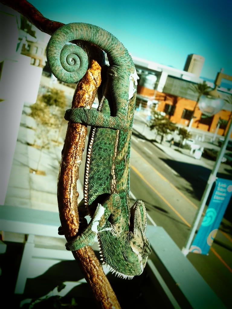 2013-01-03094050.jpg