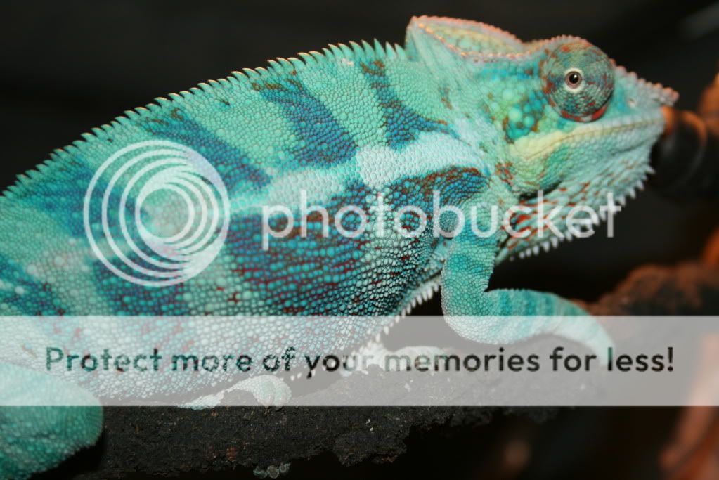 sunpics008.jpg