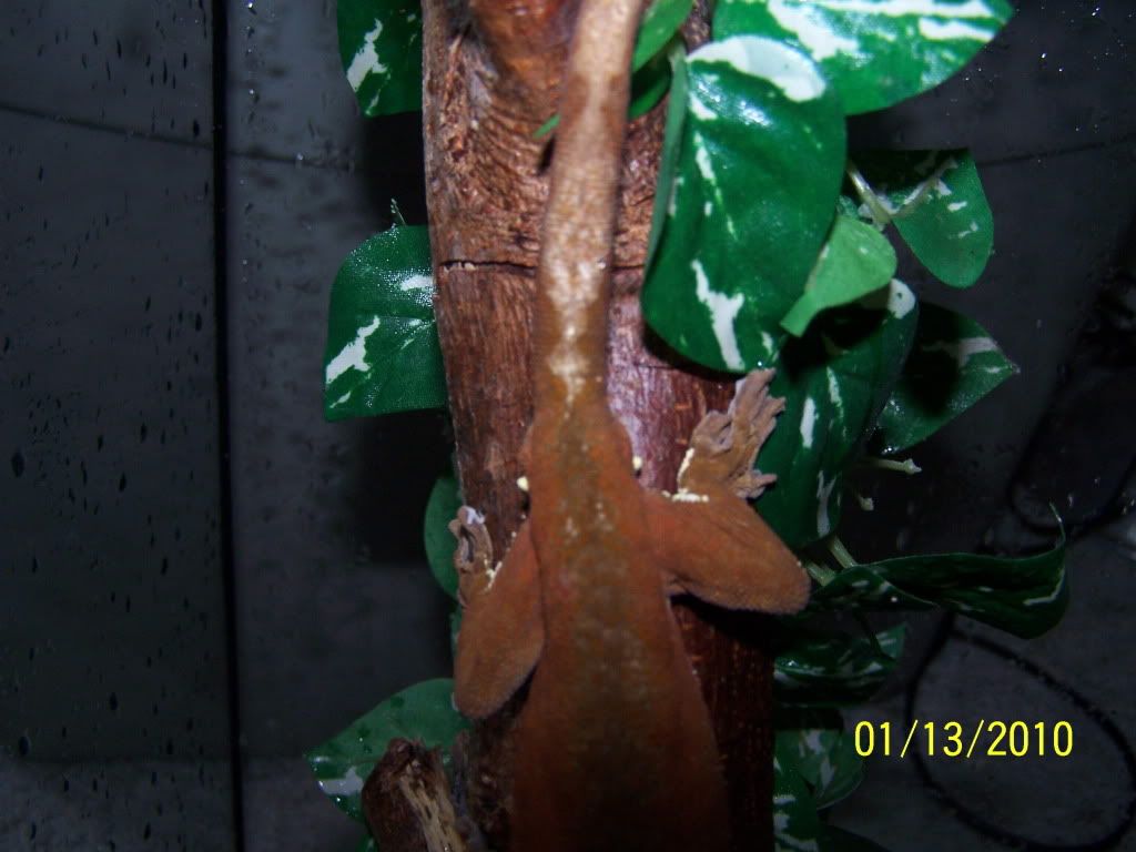 100_2114.jpg
