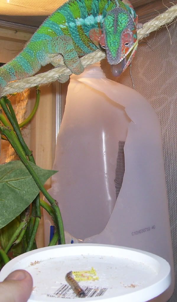 100_6860.jpg