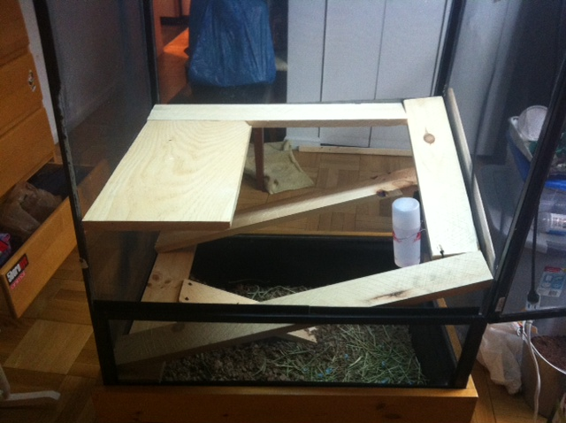 secondplatform_zpsbd0695f3.png