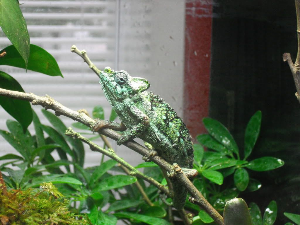 DSCF0062.jpg