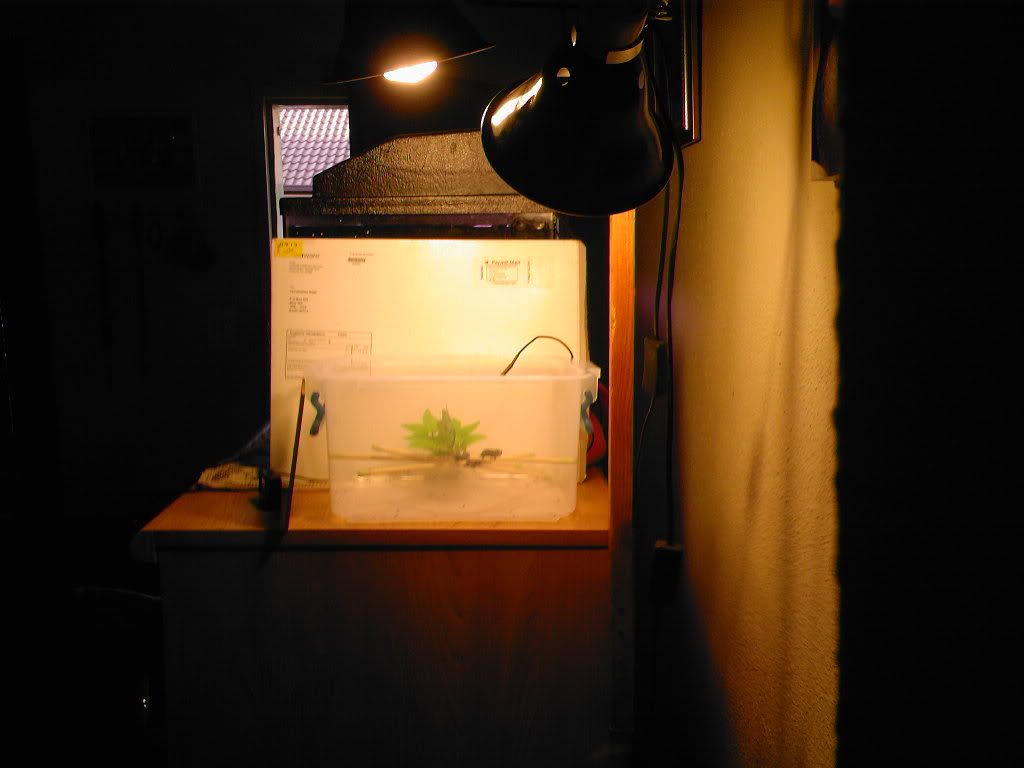 Photo-0117.jpg