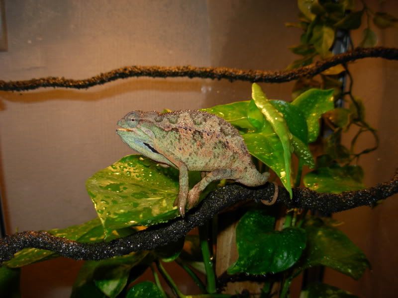 DSCN8314.jpg