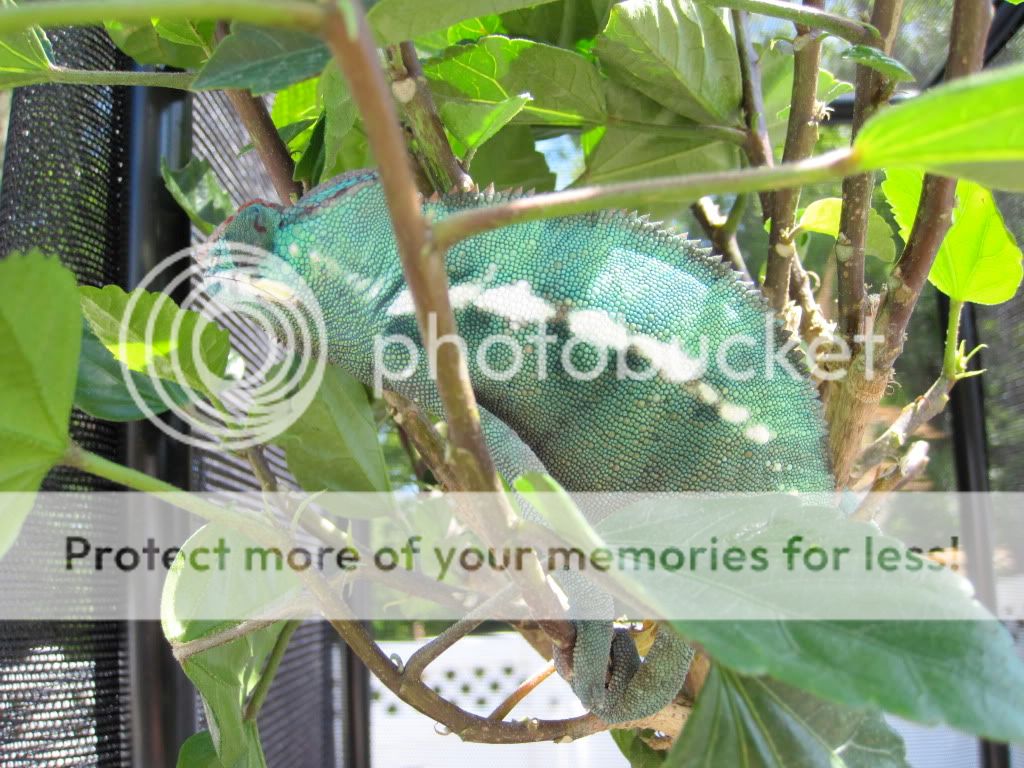 IMG_0953.jpg