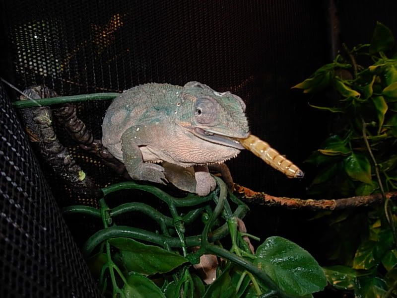 DSCN8218.jpg