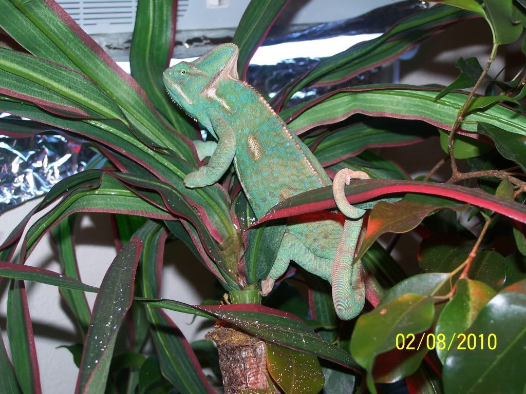100_2368.jpg