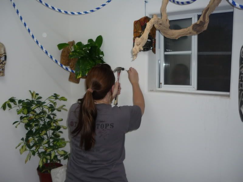 P1000725.jpg