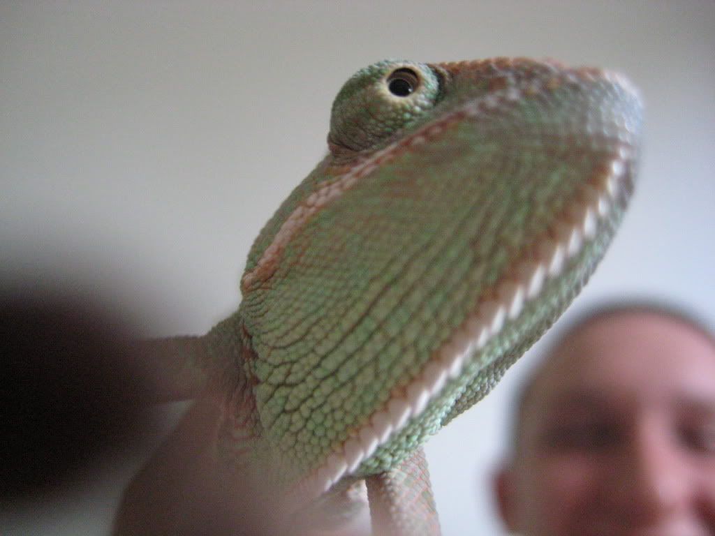 IMG_3907.jpg