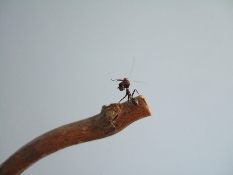 DSCF5228.jpg