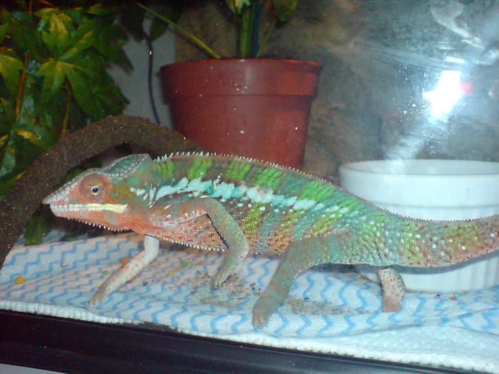 DSC01776.jpg