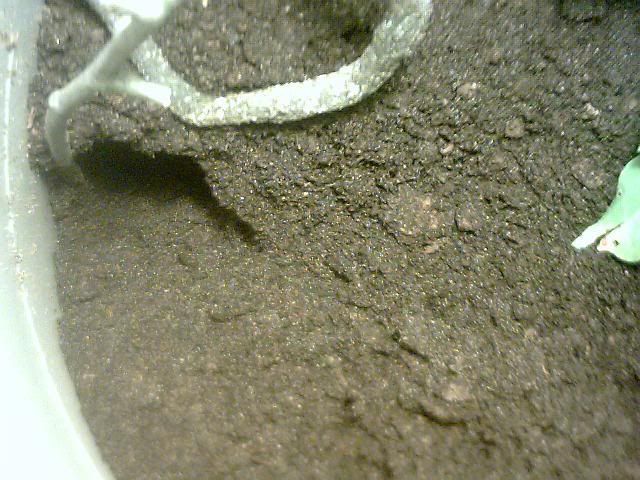 Picture011.jpg