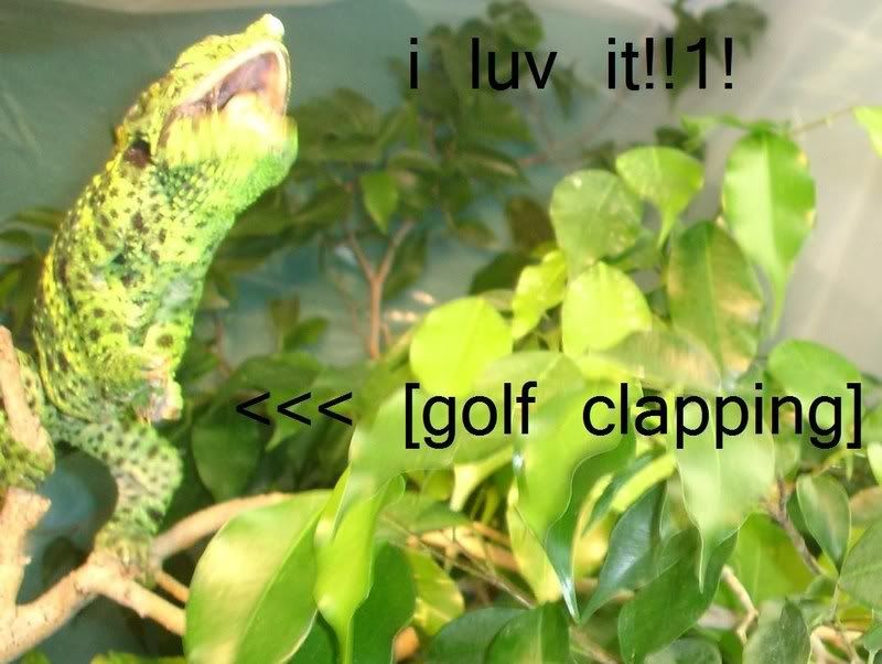 golfclappin.jpg