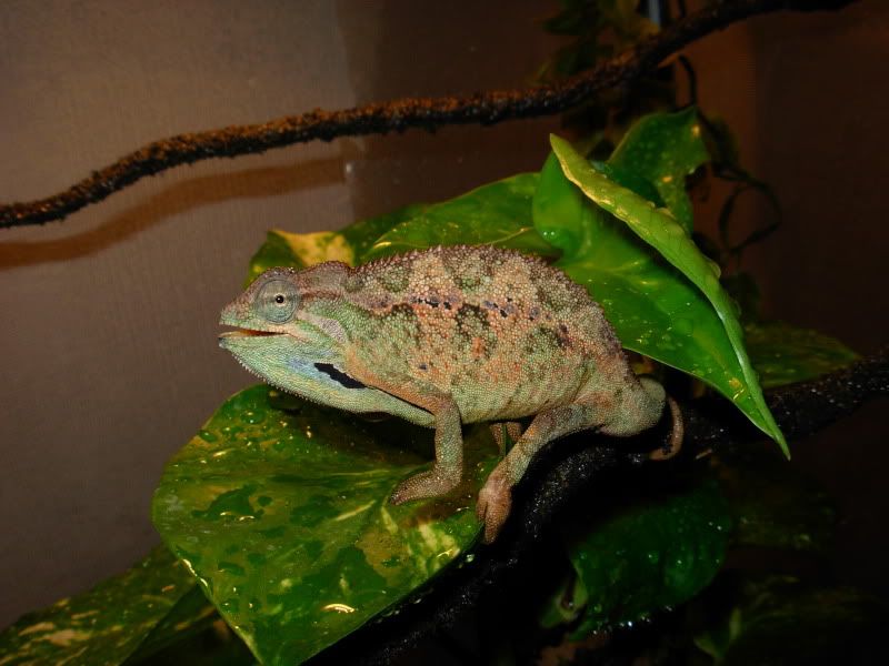 DSCN8315.jpg