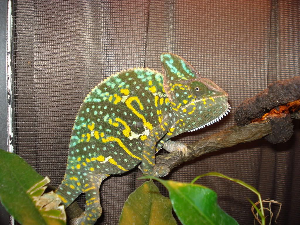 DSC05844.jpg