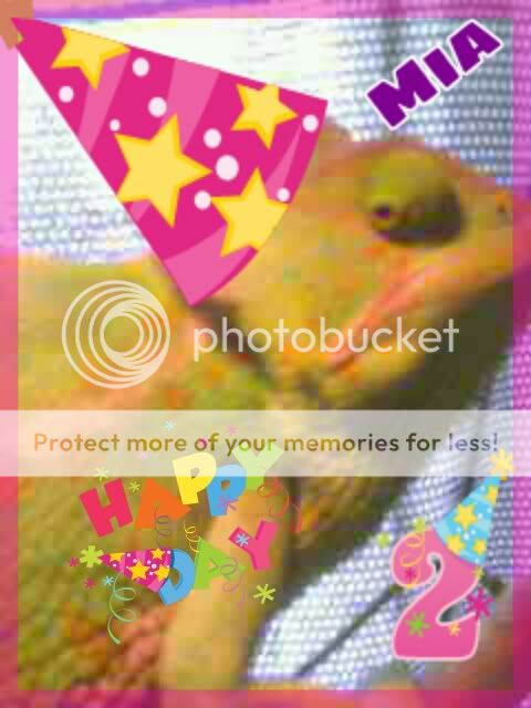 PicsIn1321466402158.jpg