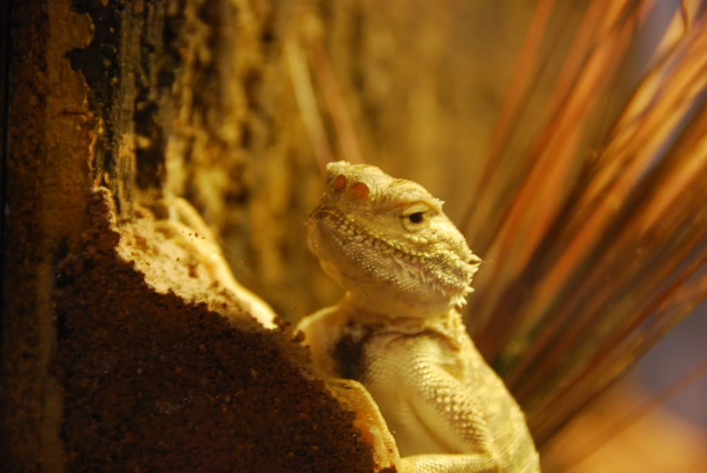 summer20111300.jpg