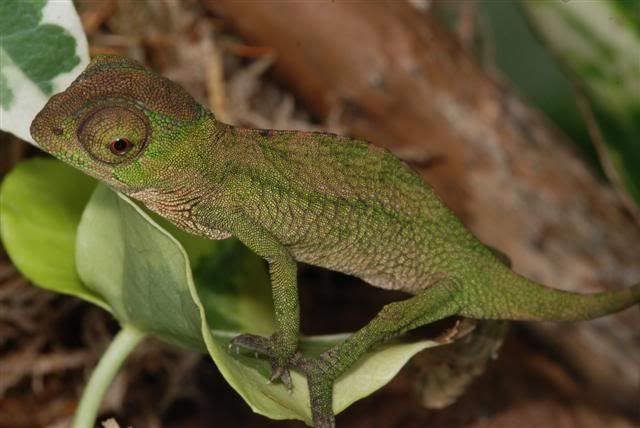 DSC_8231Small.jpg