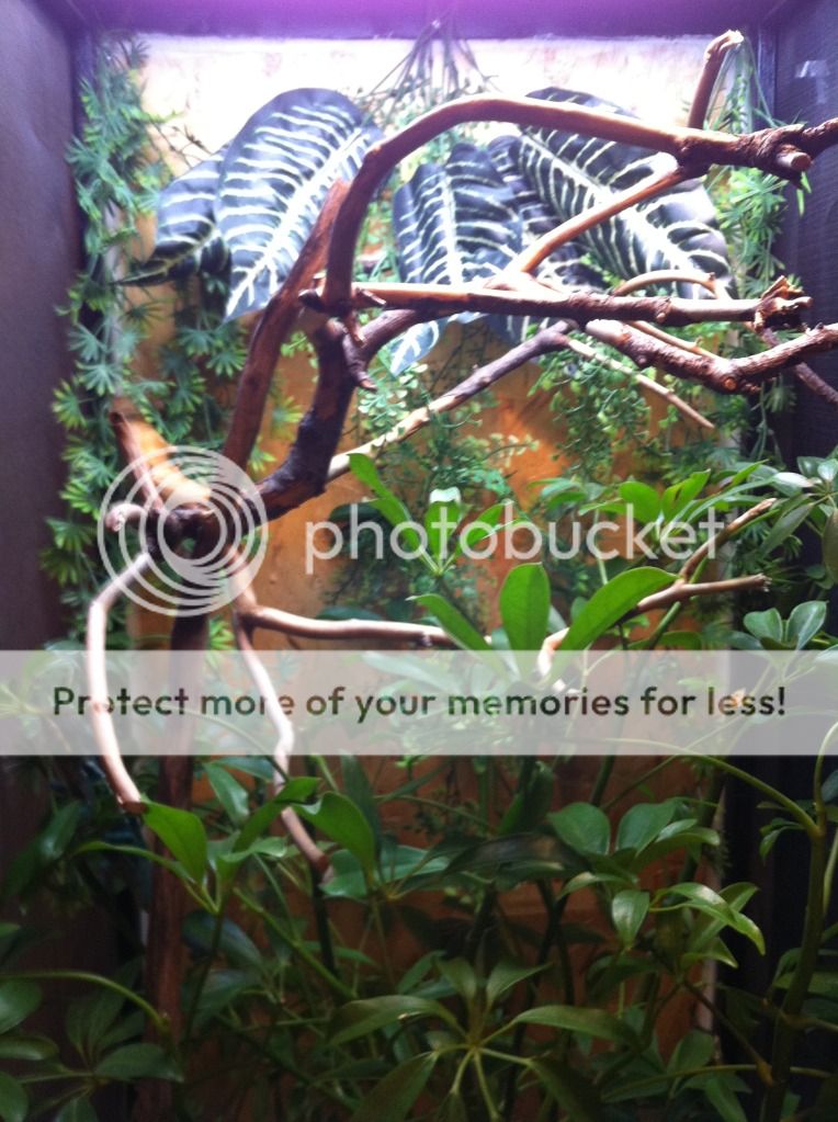 photo31.jpg