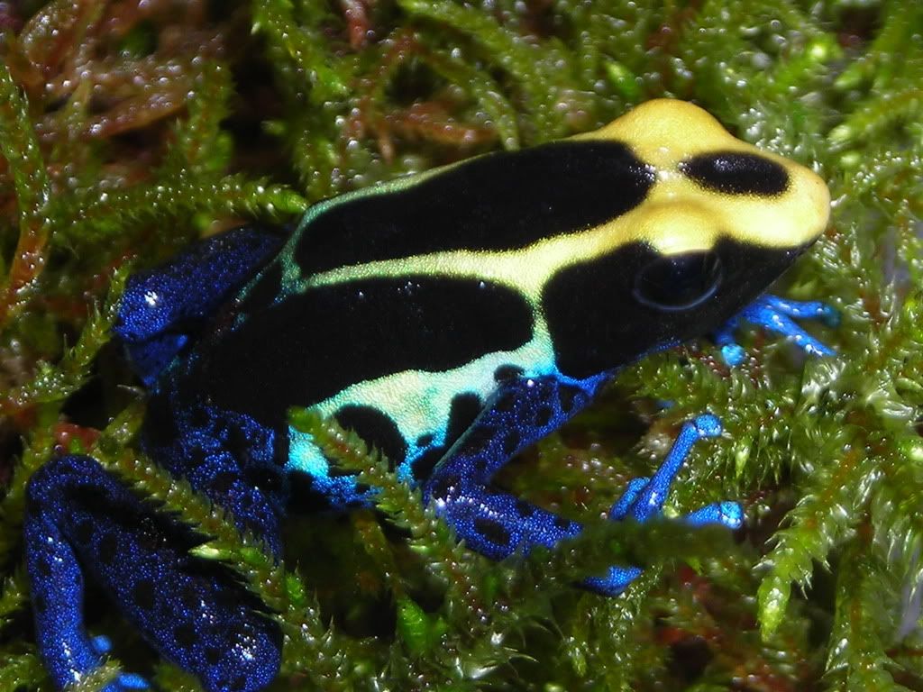 DSCN5378.jpg