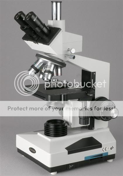 BoughtthisMicroscope.jpg