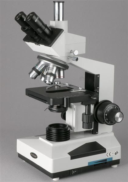 BoughtthisMicroscope.jpg