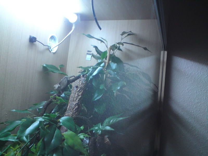 DSC00138.jpg