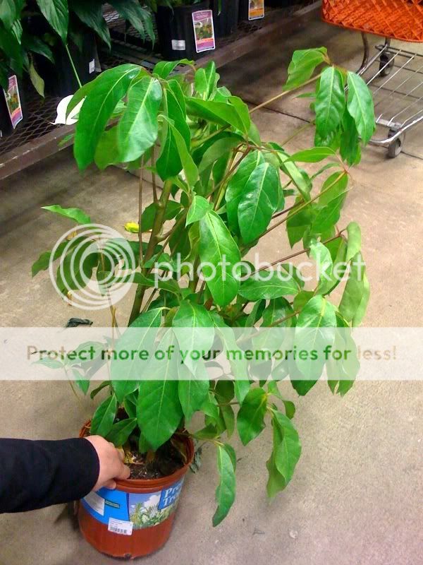 photo.jpg