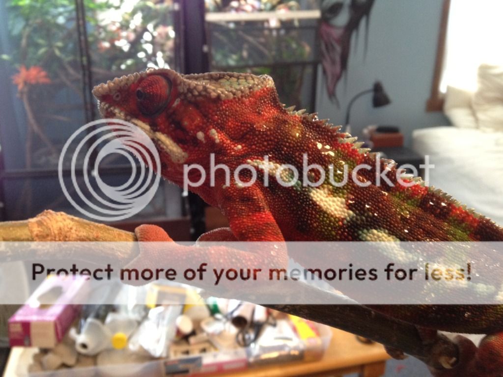 photo1-2.jpg