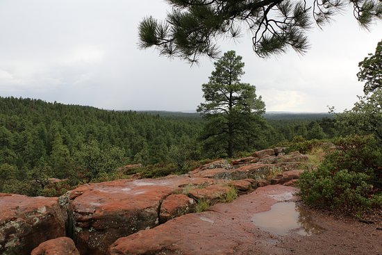 view-from-the-rim.jpg
