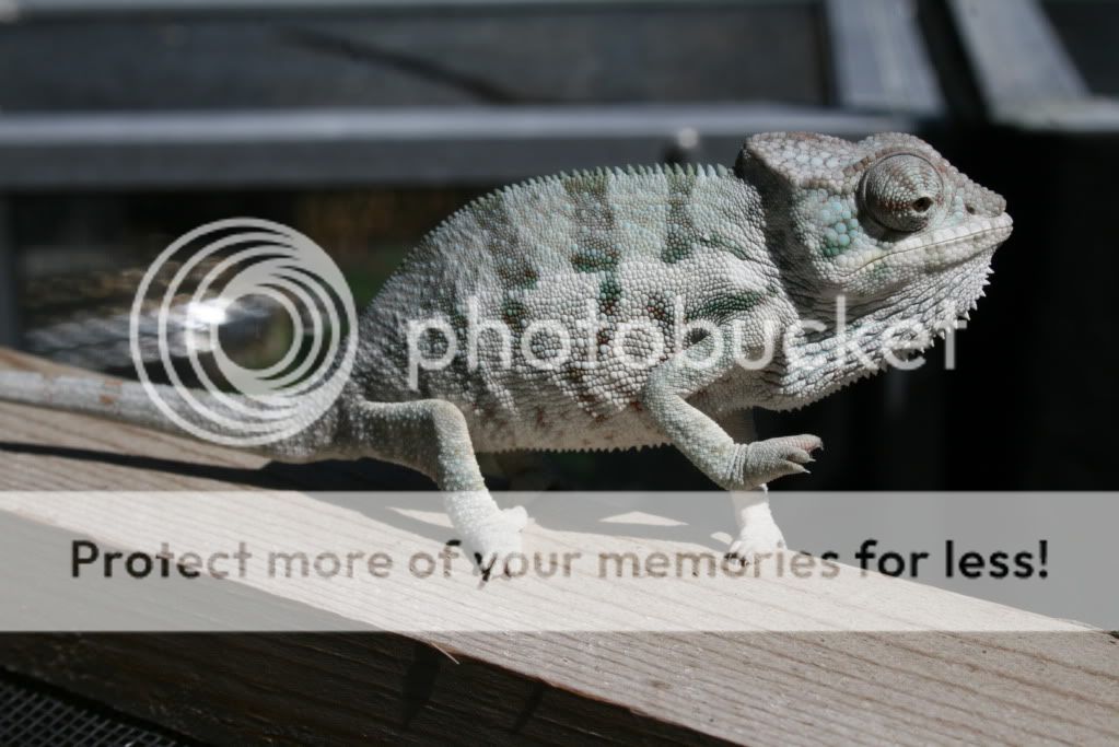 eospics9-19-09007-5.jpg