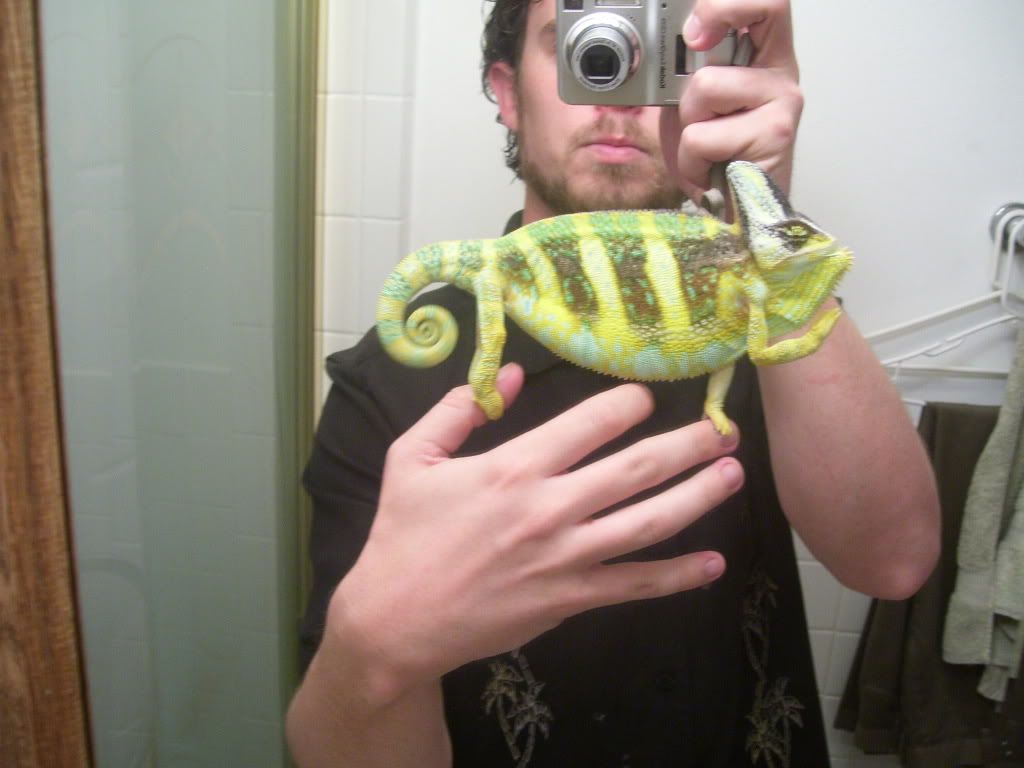 100_9506.jpg