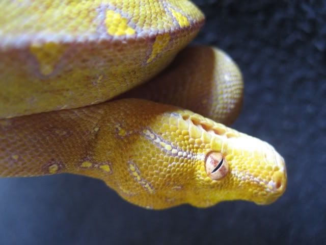 NIckspics042.jpg