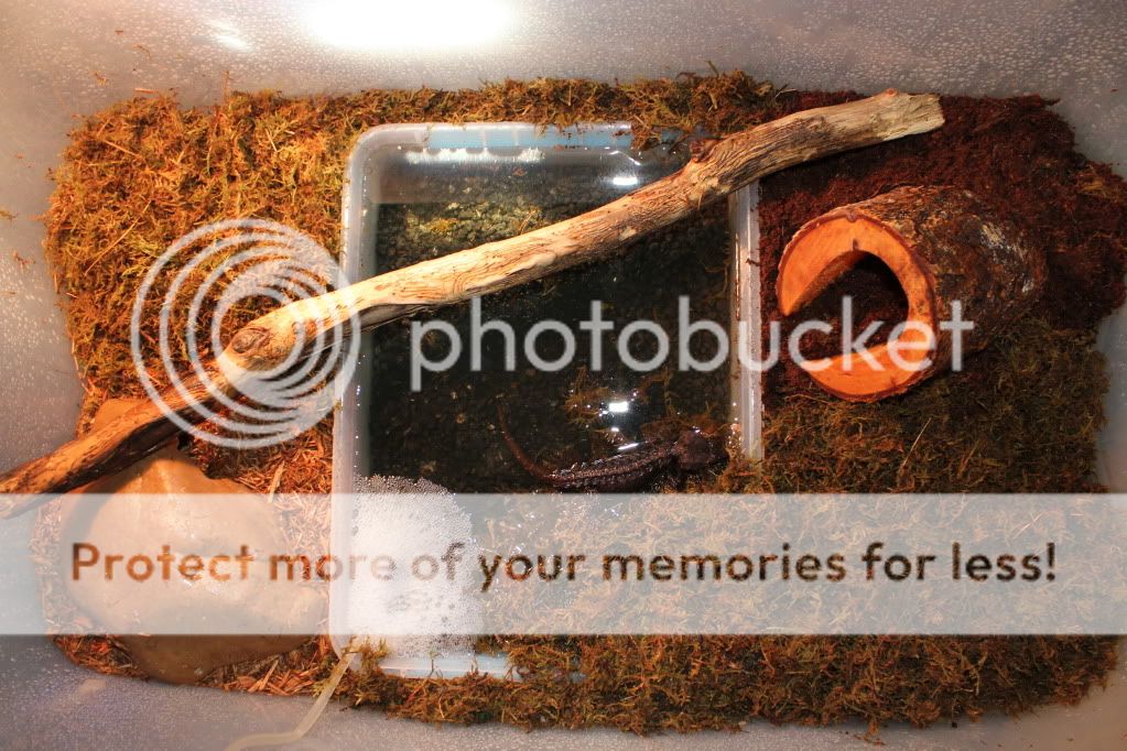 IMG_1655.jpg