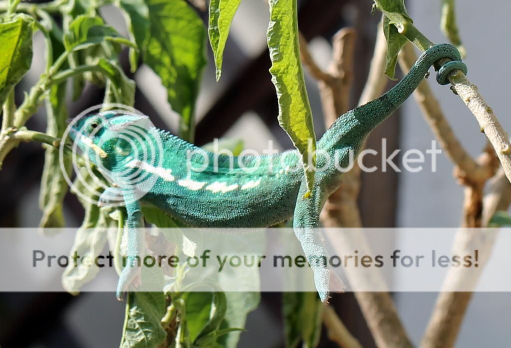 HangingAround.jpg