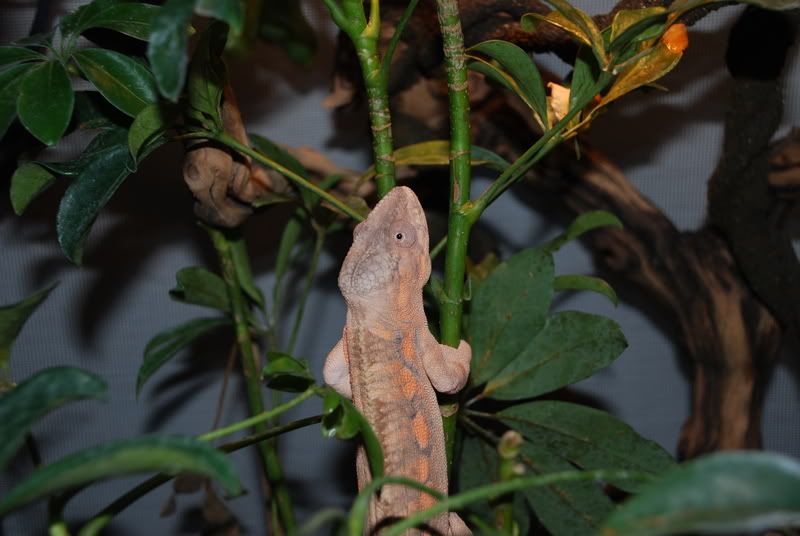 DSC_0014.jpg