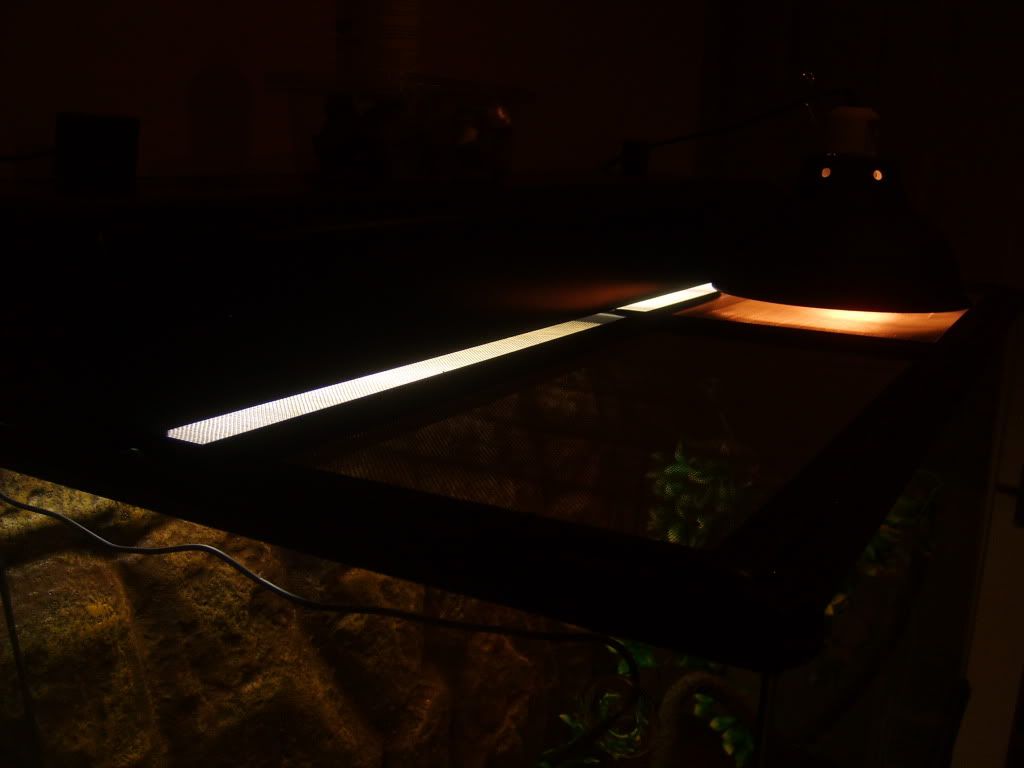 S5001756.jpg