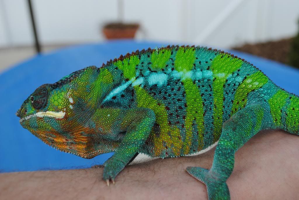 DSC_0515.jpg