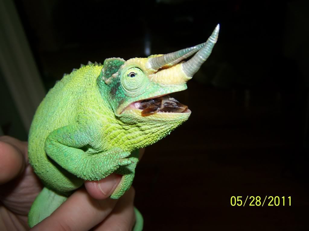 100_4875.jpg