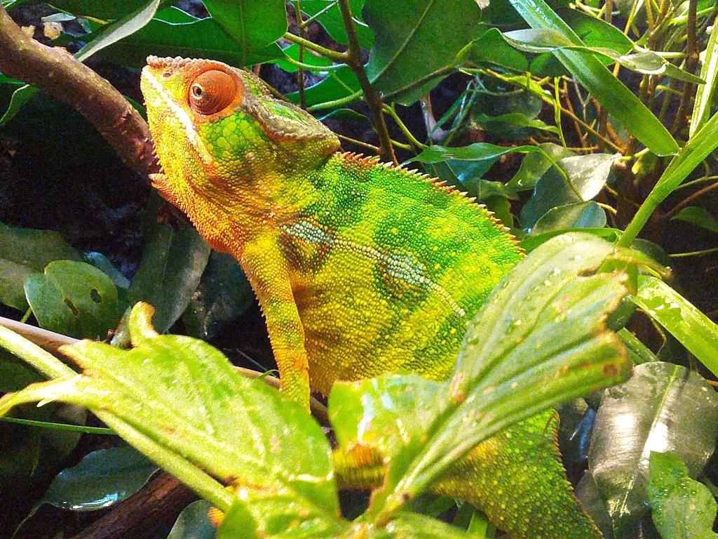 2012-11-05091454.jpg