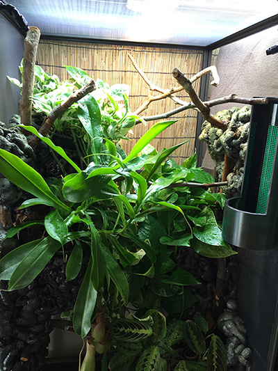 Floating-garden-cage-400.jpg