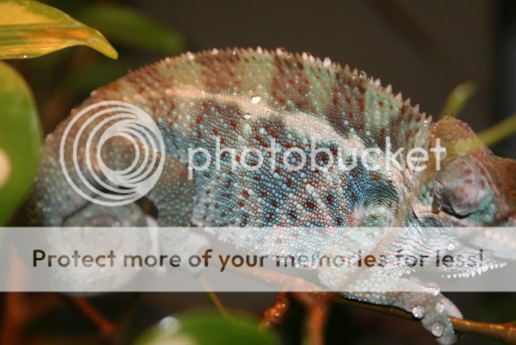 outsideppics8-08-09031.jpg