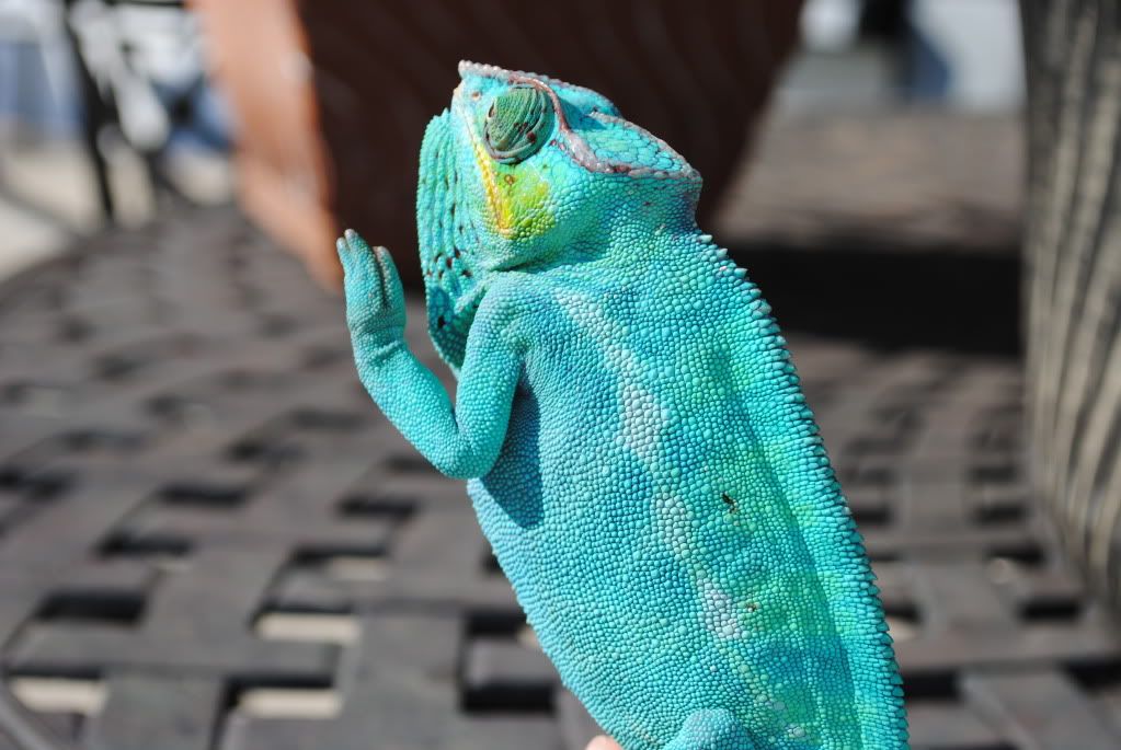 DSC_0618.jpg